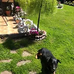 Ranczo Frodyma Frühstückspension Stronie Śląskie