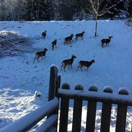 Ranczo Frodyma Frühstückspension 3*