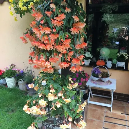 Ranczo Frodyma Frühstückspension 3*