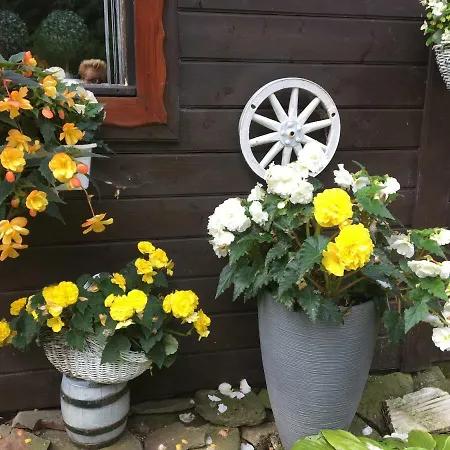 Frühstückspension Ranczo Frodyma