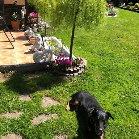 Ranczo Frodyma Frühstückspension Stronie Śląskie