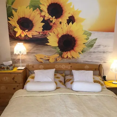 Ranczo Frodyma Stronie Śląskie