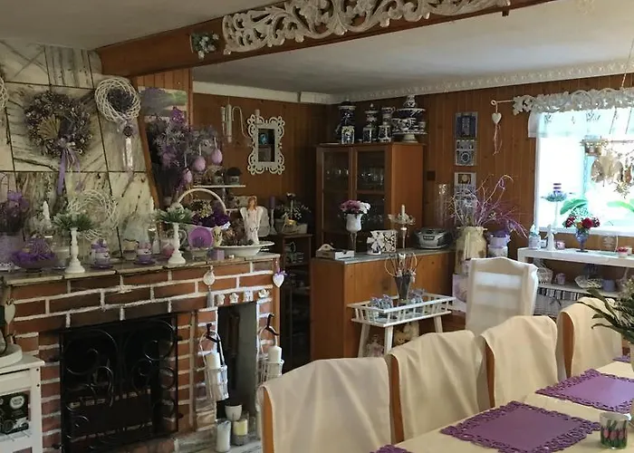 住宿加早餐酒店 Ranczo Frodyma