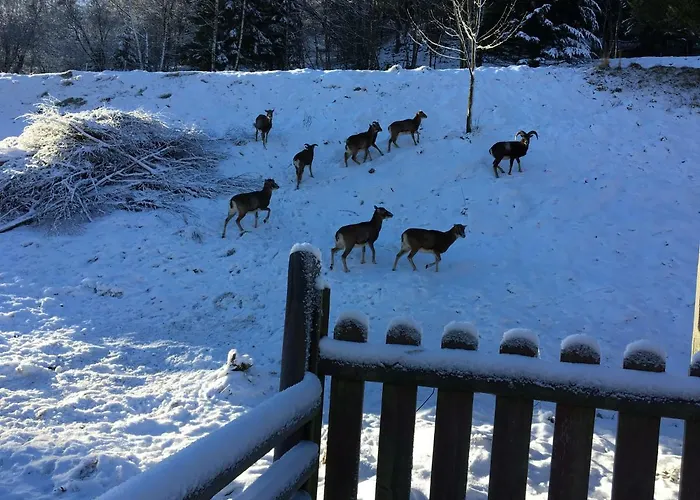 Ranczo Frodyma Panzió 3*