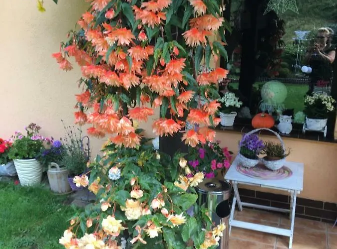 Ranczo Frodyma Bed & Breakfast 3*