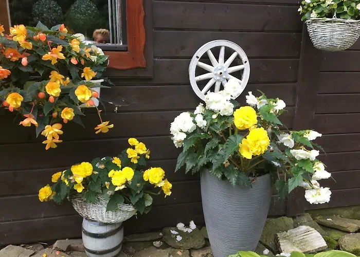 住宿加早餐酒店 Ranczo Frodyma