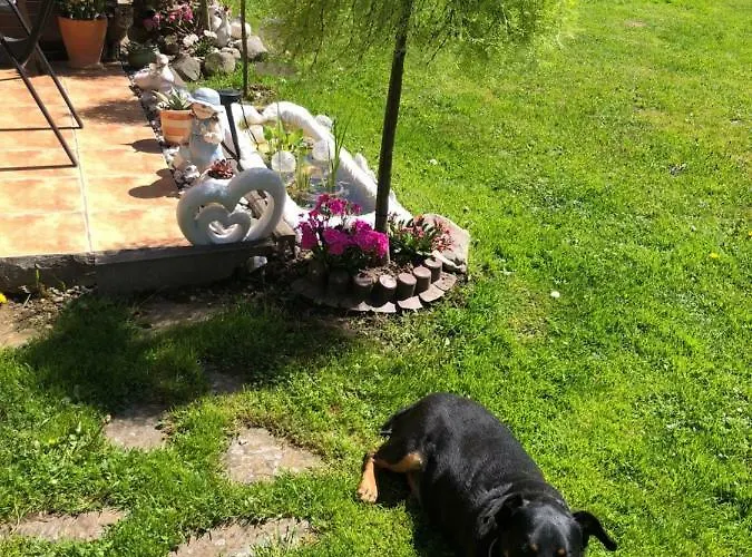 Ranczo Frodyma 住宿加早餐酒店 Stronie Śląskie